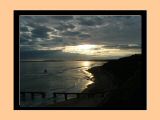 14 Penguin Island.jpg